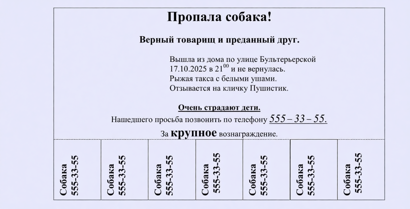 Пример таблицы о пропавшей собаке